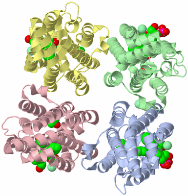 Image Asymmetric Unit