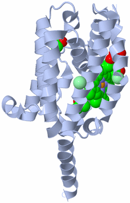 Image Biological Unit 1