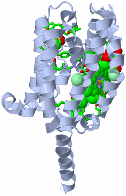 Image Biol. Unit 1 - sites