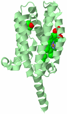Image Biological Unit 2