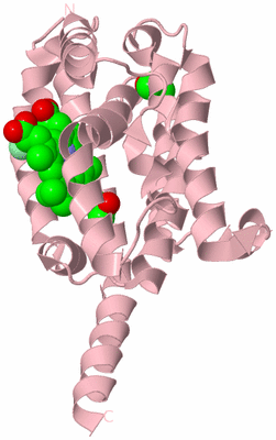 Image Biological Unit 3