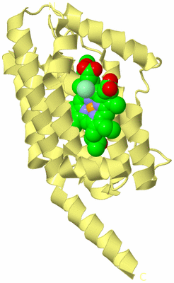 Image Biological Unit 4