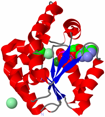 Image Asym./Biol. Unit