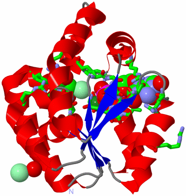 Image Asym./Biol. Unit - sites