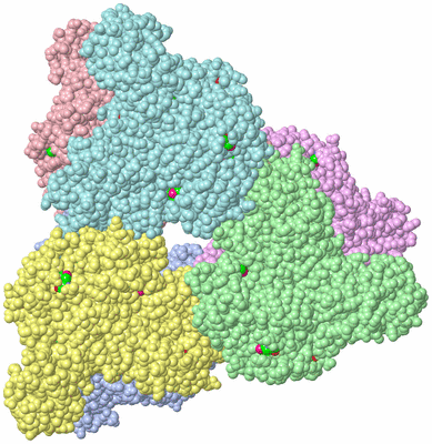 Image Asym./Biol. Unit