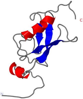 Image NMR Structure - model 1
