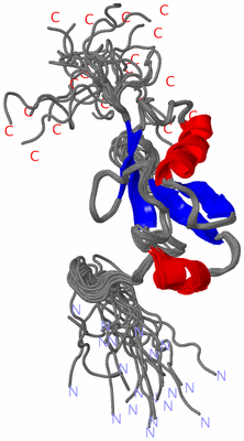 Image NMR Structure - all models