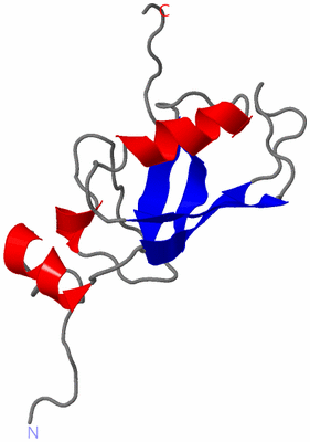 Image NMR Structure - model 1