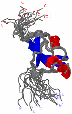 Image NMR Structure - all models