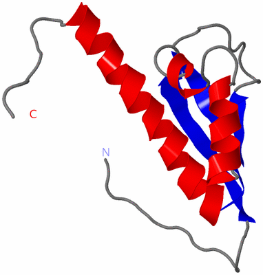 Image NMR Structure - model 1