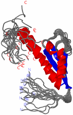 Image NMR Structure - all models