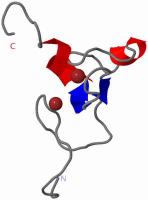 Image NMR Structure - model 1