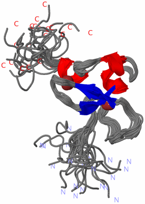 Image NMR Structure - all models