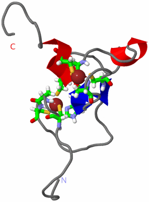 Image NMR Structure - model 1, sites