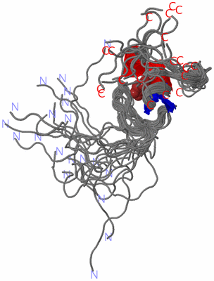 Image NMR Structure - all models