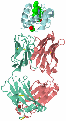 Image Biological Unit 1