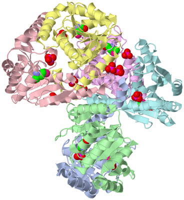 Image Asym./Biol. Unit