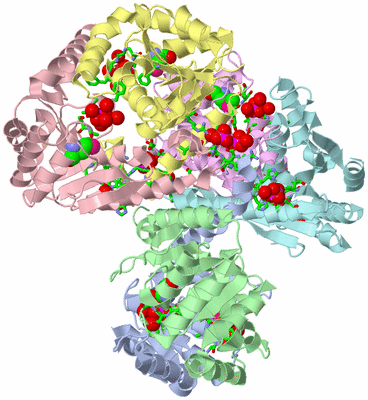 Image Asym./Biol. Unit - sites