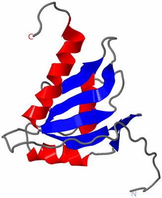 Image NMR Structure - model 1