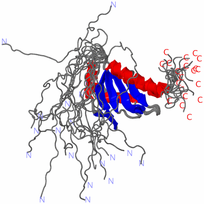 Image NMR Structure - all models