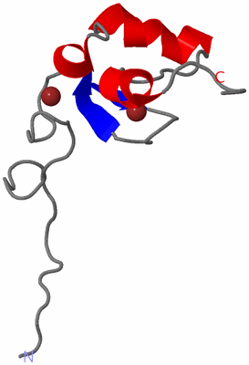 Image NMR Structure - model 1