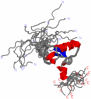 Image NMR Structure - all models