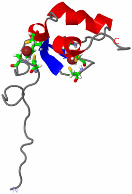 Image NMR Structure - model 1, sites