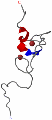 Image NMR Structure - model 1