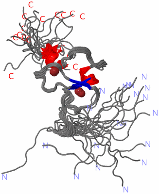 Image NMR Structure - all models