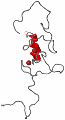 Image NMR Structure - model 1