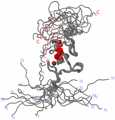 Image NMR Structure - all models