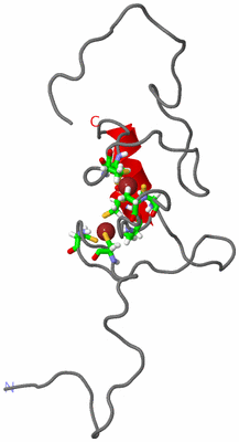 Image NMR Structure - model 1, sites