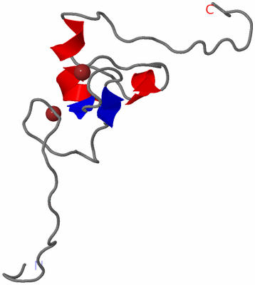 Image NMR Structure - model 1