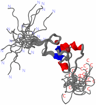 Image NMR Structure - all models