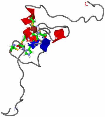 Image NMR Structure - model 1, sites