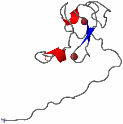 Image NMR Structure - model 1