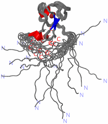 Image NMR Structure - all models
