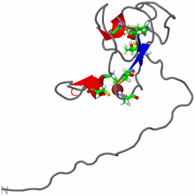 Image NMR Structure - model 1, sites