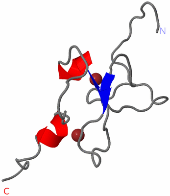 Image NMR Structure - model 1