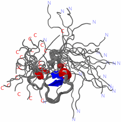 Image NMR Structure - all models