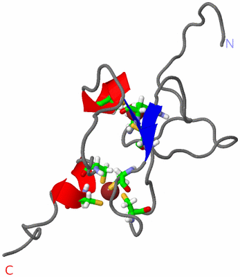 Image NMR Structure - model 1, sites