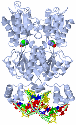 Image Biological Unit 1