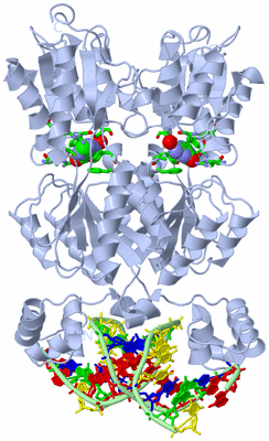 Image Biol. Unit 1 - sites