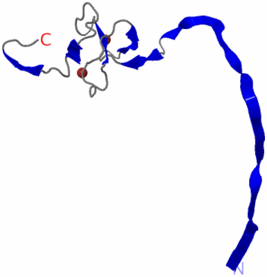 Image NMR Structure - model 1