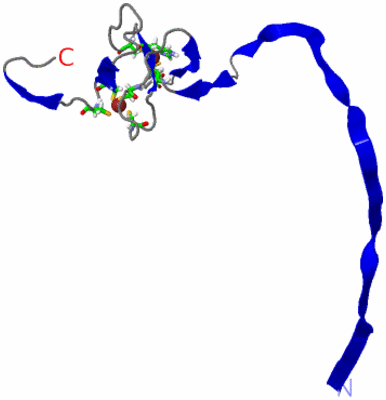 Image NMR Structure - model 1, sites