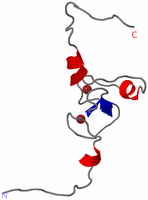 Image NMR Structure - model 1