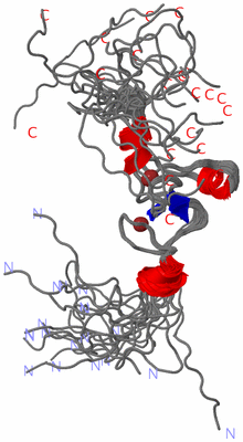 Image NMR Structure - all models