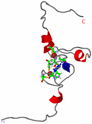 Image NMR Structure - model 1, sites