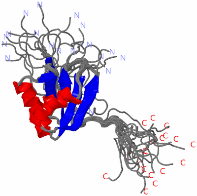 Image NMR Structure - all models