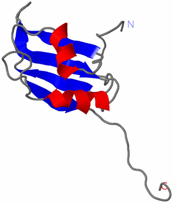 Image NMR Structure - model 1